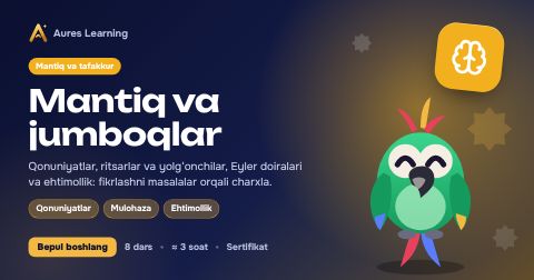«Mantiq va jumboqlar» kursi muqovasi — Aures Learning onlayn kursi